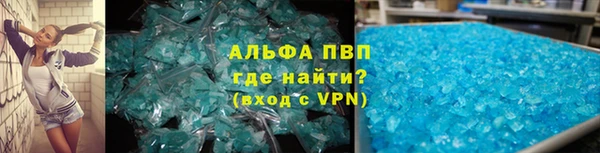 прущие грибы Ступино
