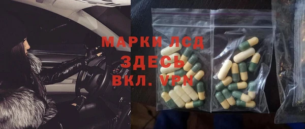 прущие грибы Ступино