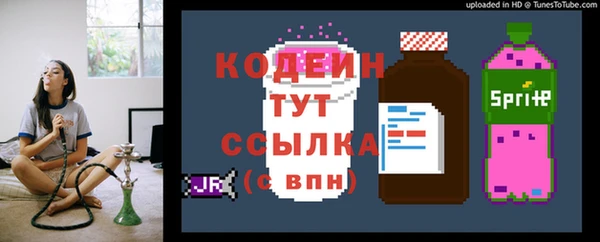 прущие грибы Ступино