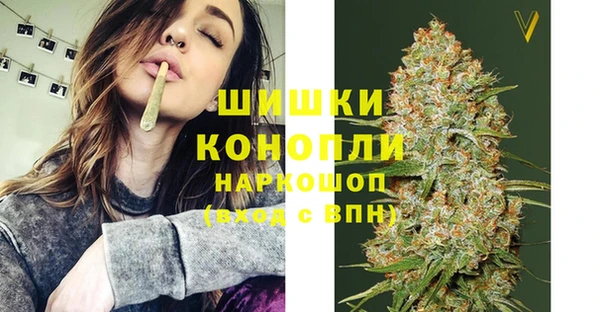 прущие грибы Ступино