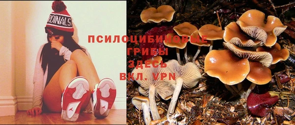 амфетамин Струнино