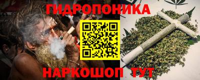 крисы Волжск
