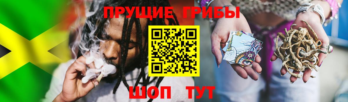 Галлюциногенные грибы MAGIC MUSHROOMS  Вход с VPN  Уфа 